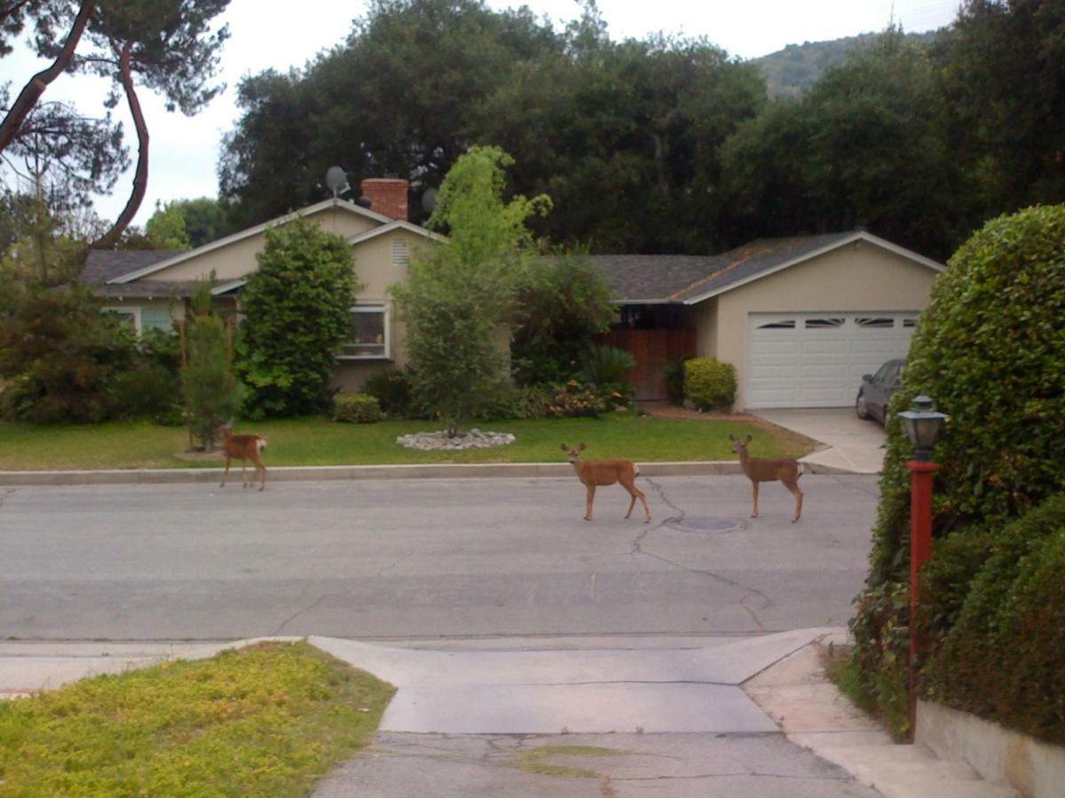 グレンデールOak Grove Ranch Houseアパートメント エクステリア 写真